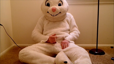 Maschio arrapato in costume di coniglio si masturba con un giocattolo erotico in pelliccia;