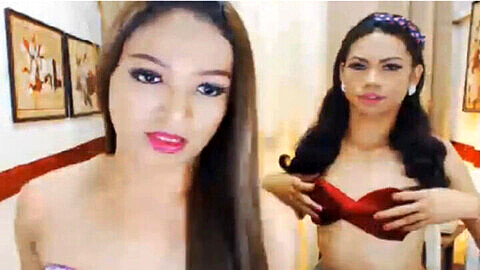 Dos dúos de travestis aficionados y cachondos se complacen mutuamente en la webcam