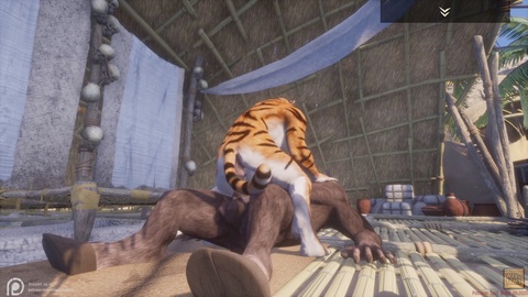 Wild life tiger, tiger animation, anal penetration